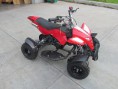 /album/mini-atv-nitro-49cc/pej-jpg/